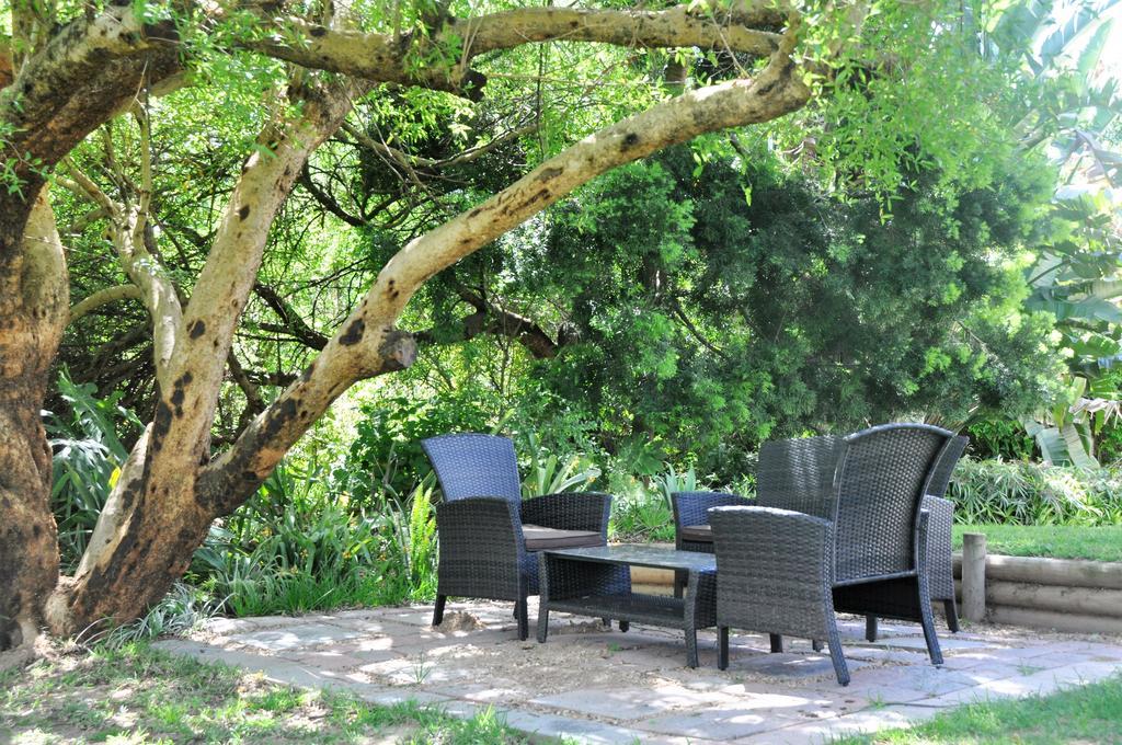 Umlambo River Lodge Kirkwood Kültér fotó